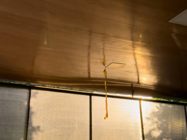 Çardakta sinek kağıdı, günbatımında sinek kağıdı olan bir çardak tavanda. Yüksek kalite