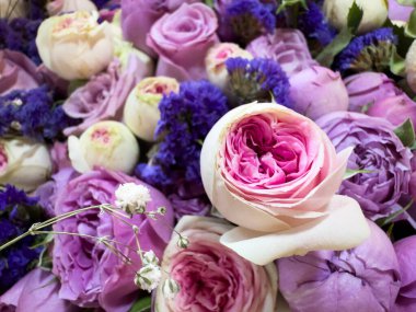 Küçük güllerden bir buket çiçek, kapalı formda güller, beyaz ve pembe güller, reklam ve pankart için güzel bir buket çiçek. Yüksek kalite