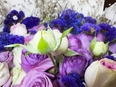 Küçük güllerden bir buket çiçek, kapalı formda güller, beyaz ve pembe güller, reklam ve pankart için güzel bir buket çiçek. Yüksek kalite