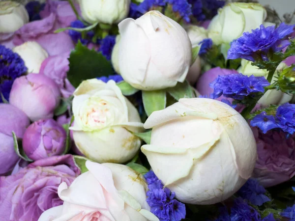 Küçük güllerden bir buket çiçek, kapalı formda güller, beyaz ve pembe güller, reklam ve pankart için güzel bir buket çiçek. Yüksek kalite