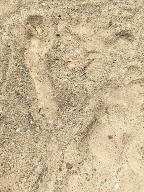 Taşlı ve çamurlu kumlu bir bölge. Kum kahverengidir ve kayalar siyahtır. Bölgede bitki ya da ağaç yok.