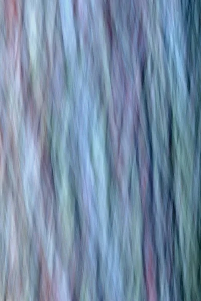 Kahle Zypressenrinde Abstrakt Bei Arthur Marshall Loxahatchee National Wildlife Refugium — Stockfoto