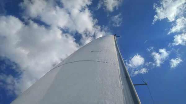 Snow White Sails Yacht Background Bright Blue Sky White Clouds — Stock Photo, Image