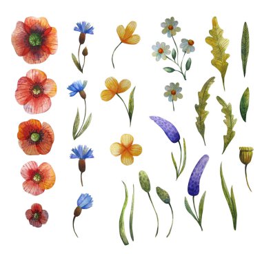 suluboya çiçek şekil