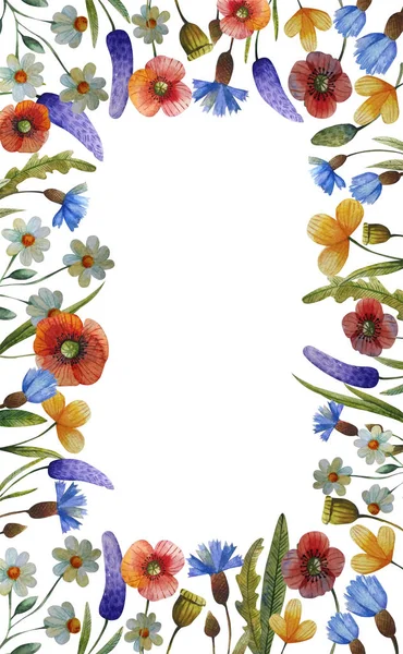 Ilustración floral acuarela —  Fotos de Stock