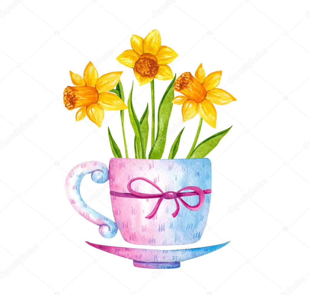 Watercolor illustration - a beautiful bouquet of yellow narcissus or daffodils in a decorative tea cup with bow. Delicate spring, Easter flowers. Isolated objects on white background.