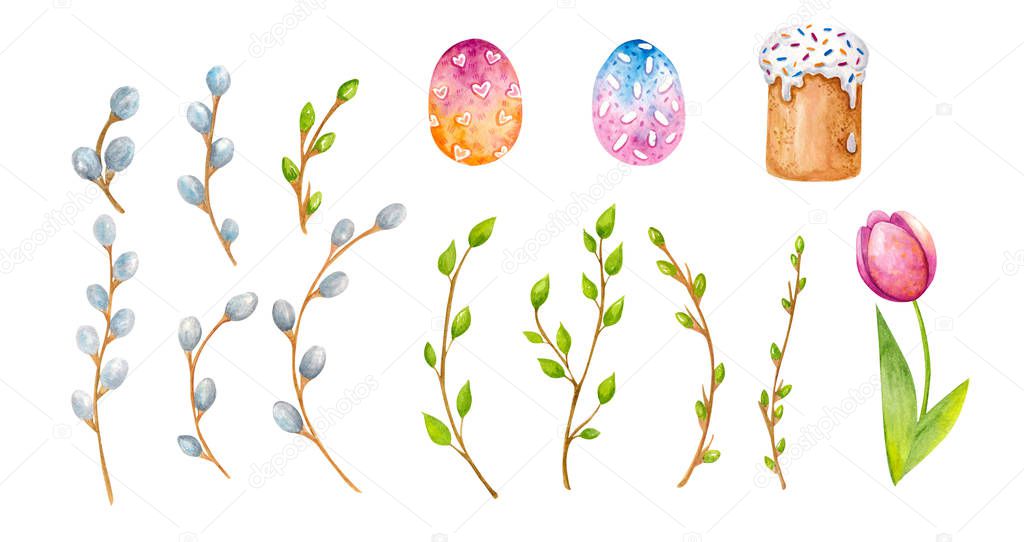 Watercolor set of willow and green branches, Easter eggs, Cake, spring flowers - tulip. White background. Isolated object for print, postcard, poster, textile