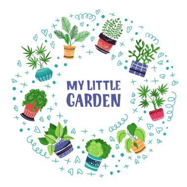 Vector houseplants seti