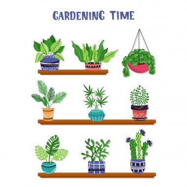 Vector houseplants seti