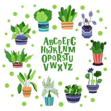 Vector houseplants seti