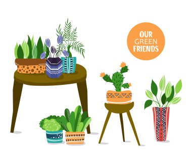 Vector houseplants seti
