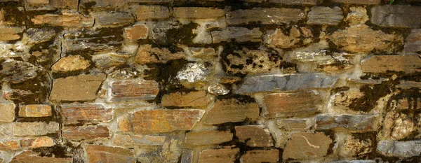 Antik Yunan taş çit yosun - doku 50mp ile