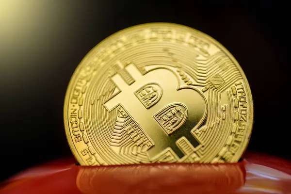Parlak kırmızı para kutusundan savunduğun parlak altın bitcoin