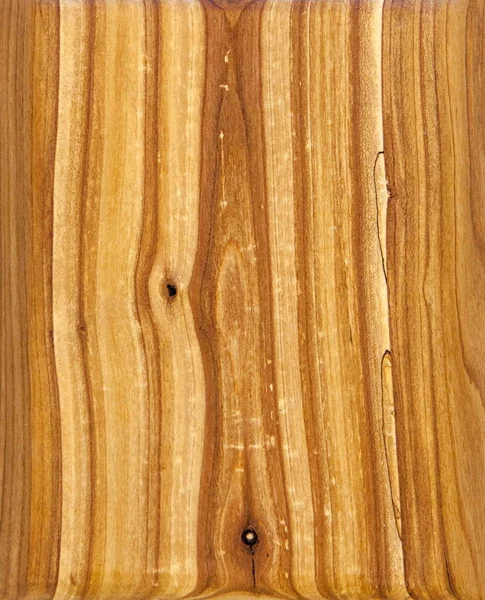 Fruit tree texture. Rotten sea buckthorn shield. Light sapwood, Dark core - Image — Stock Photo, Image