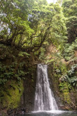 Kalın çekimleri ile noktalı uçurumun üzerinden düşen Şelalesi