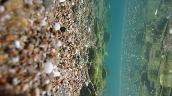 조류와 호수의 바위 바닥, 바이칼 — 스톡 사진