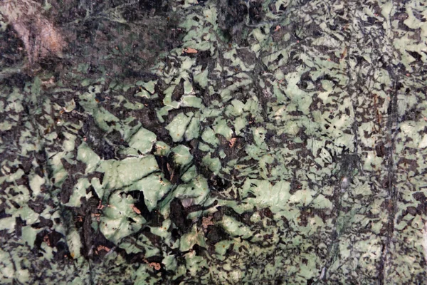 Tekstura Zielonego Kamienia Sjenitowego Lub Egipskiego Granitu Zbliżenie Tło — Zdjęcie stockowe
