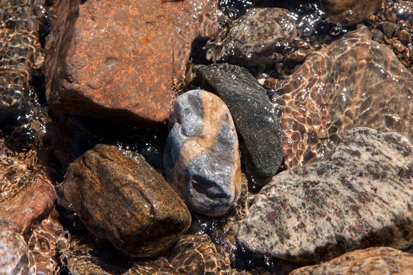Sahilde kayalar ve çakıl taşları suda, çeşitli renklerde.