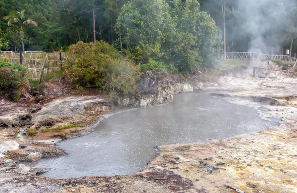 Siedender See Heiße Schwefelquelle Inmitten Eines Grünen Waldes — Stockfoto