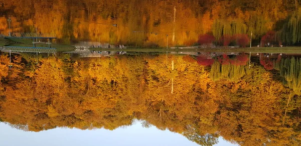 Herbst Feofania Park Kyjiw — Stockfoto