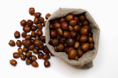 Fındık, beyaz arka plan üzerinde çuval içinde filbert ... fındık yığını veya yığını