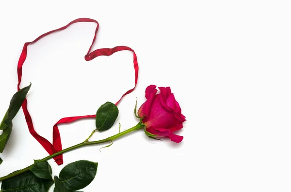 Uma bela rosa rosa com fita em forma de coração isolado no fundo branco com espaço para o seu texto — Fotografia de Stock