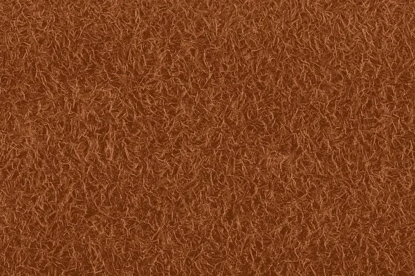 Kivi Meyve kabuğu dokusu saç manzaralı