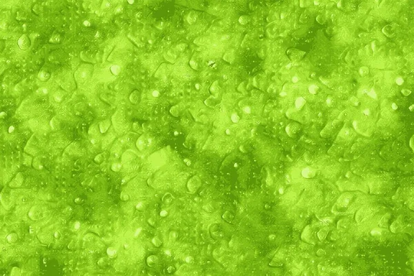 Textura Refrescante Uma Fruta Verde Com Gotas Água — Fotografia de Stock