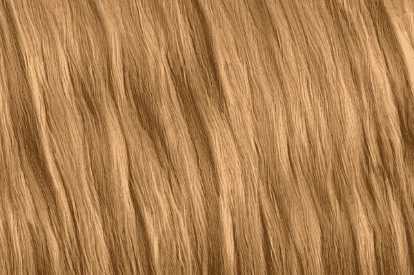 Ξανθά Μαλλιά Υφή Μακρύ Λαμπρό Κυματιστά Μαλλιά — Φωτογραφία Αρχείου