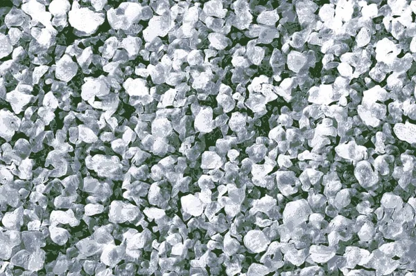 Yeşil halite veya deniz güzellik ürünleri için kullanılan tuz