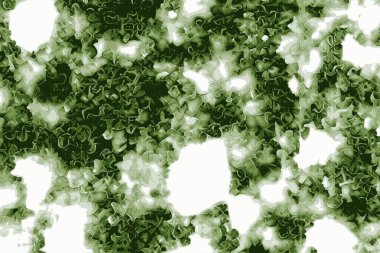 Yeşil salata ve marul taze renkli sebze