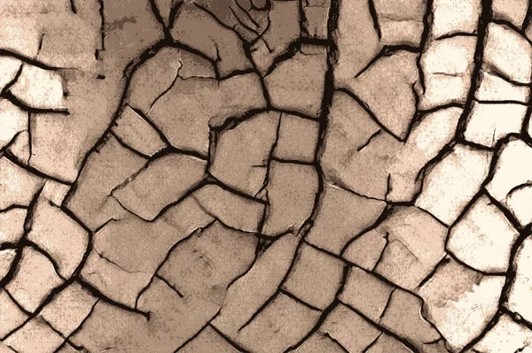 Çöl kuraklık çatlaklar ile bereketli toprak kurudu