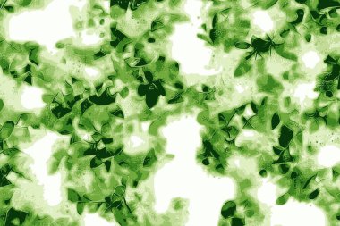 Yeşil nane yaprağı veya yaprakları taze arka plan doku