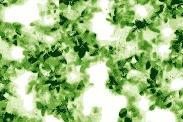 Yeşil nane yaprağı veya yaprakları taze arka plan doku