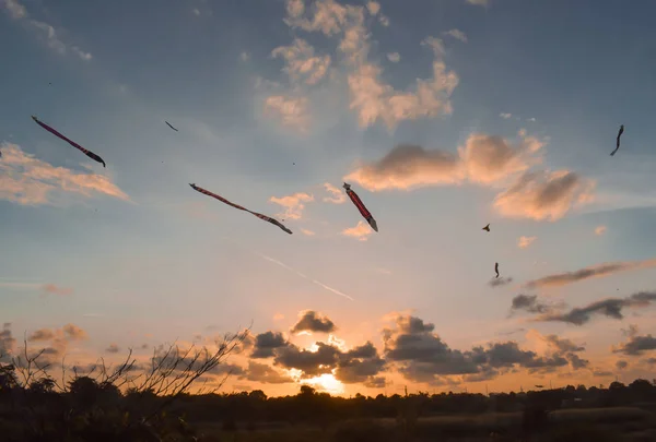 Kites flying at the sky during sunset at a kite festival in Bali, Indonesia