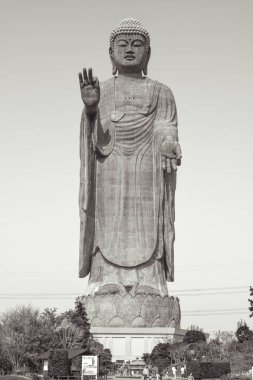 Dünya Ushiku Daibutsu Big Buddha Japonya'da üçüncü en büyük Buda heykeli