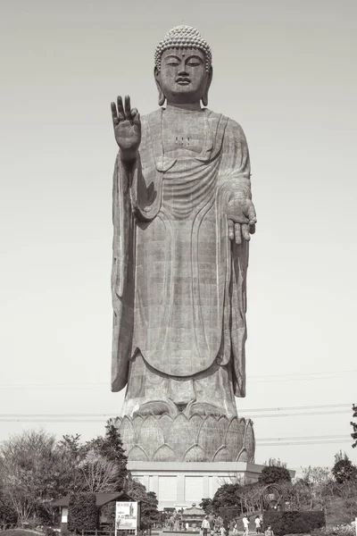 Third Largest Buddha Statue World Ushiku Daibutsu Big Buddha Japan — 图库照片