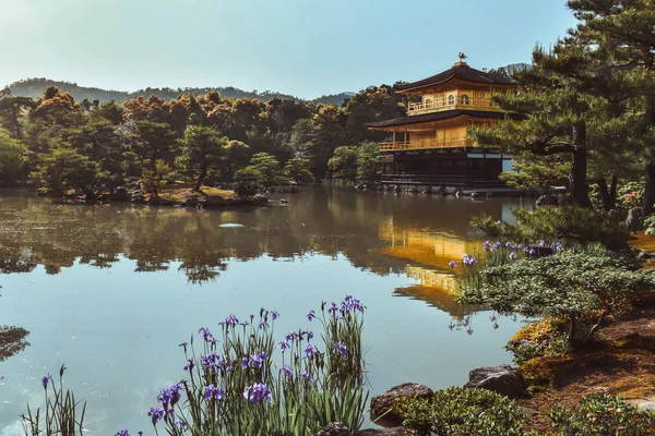 Pavilhão Dourado Kinkakuji Refletindo Sobre Lago Durante Primavera Kyoto Japão — Fotografia de Stock