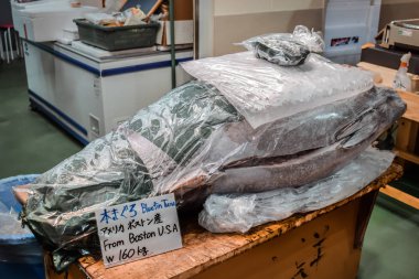 Frozen 60 kg BlueFin Tuna from Boston USA sold at the Tsukiji morning fish market in Tokyo Japan clipart
