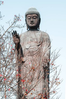 Ushiku Japonya 'daki dünyanın en büyük üçüncü Buda heykeli.