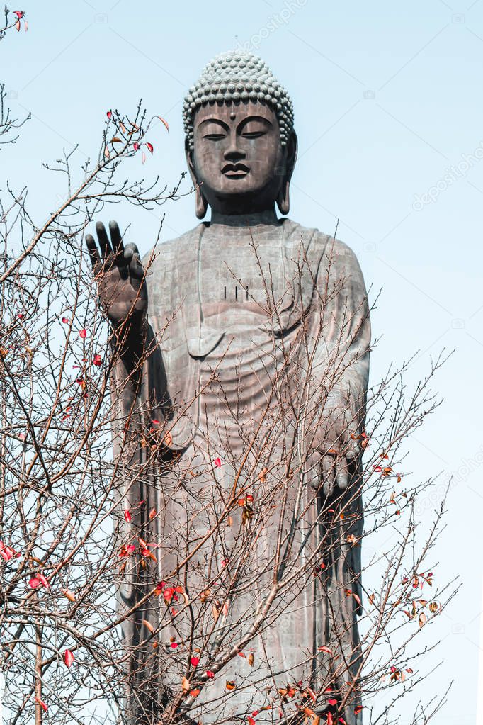 The third largest Buddha statue in the World in Ushiku Japan