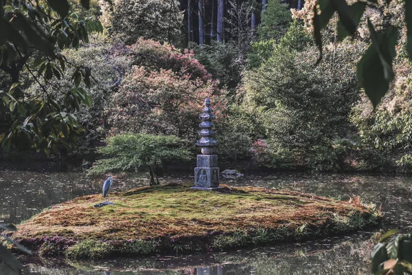Jardim Tradicional Japonês Kyoto Japão — Fotografia de Stock