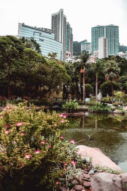 Hong Kong park yeşillik gizli uzun boylu modern ofis binaları