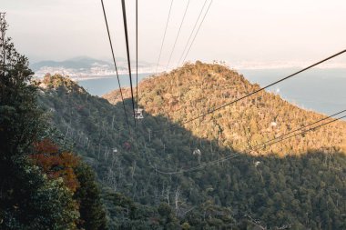 Hiroşima 'daki Miyajima Adası' nda Misen Dağı 'na giden yol.