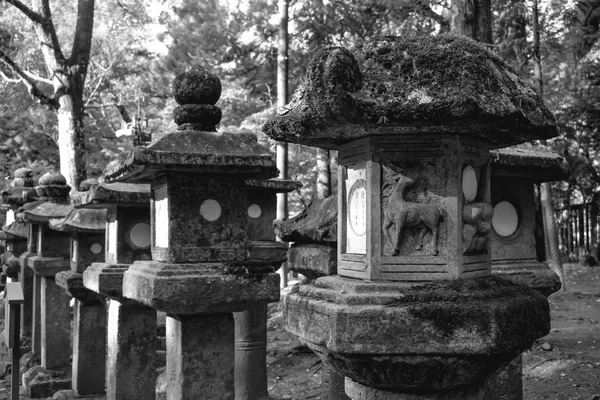 Faroles Piedra Blanco Negro Santuario Kasuga Nara Japón — Foto de Stock