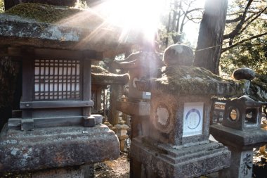 Nara 'daki Kasuga Tapınağı' nda taş fenerlerin arasından güneş parlıyor.