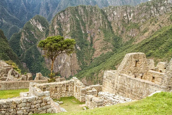 Machu Picchu Perú Antigua Ciudad Inca Ubicada Perú Montaña Una — Foto de Stock