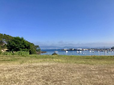 Sanxenxo Galiçya İspanya güzel bir güneşli yaz günü boyunca plaj ve denize yakın ağaçlar ile bir alanın görünümü