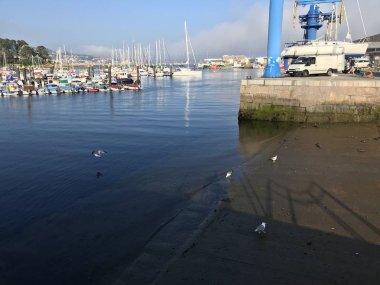 Bazı martılar ile iskele ve deniz seviyesi rampa görünümü