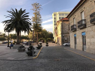 Cambados Galiçya İspanya palmiye ağaçları çalılar ve banklar ile şehir meydanının görünümü
